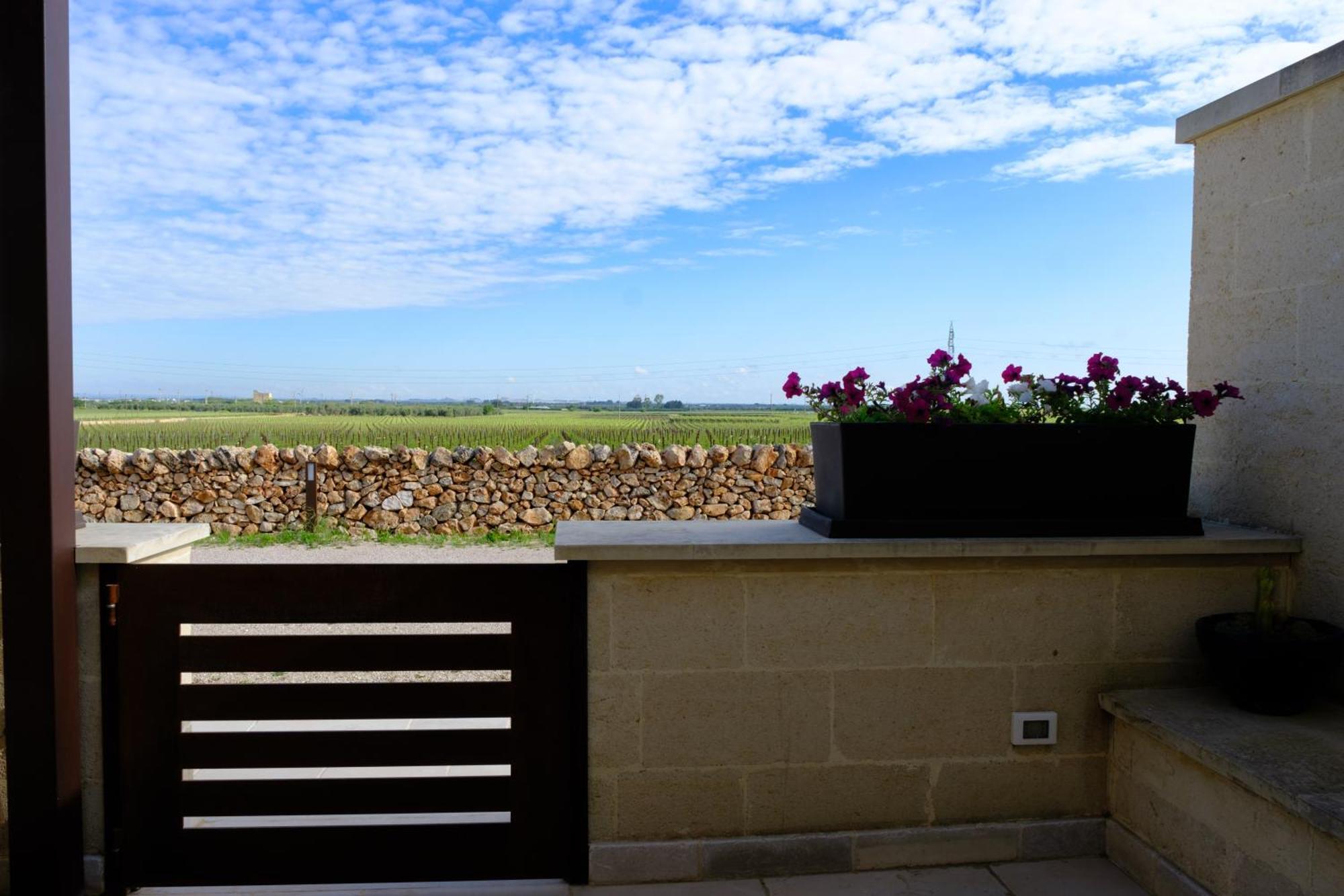 Gianfranco Fino Viticoltore Farm stay Manduria